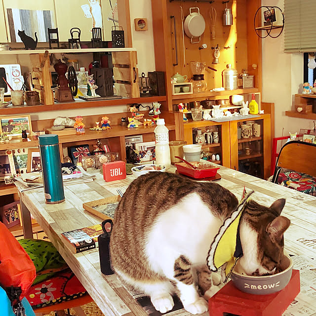 jijiさんの実例写真