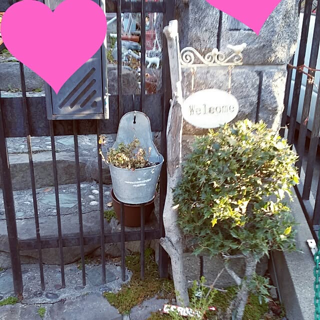 soranootoさんの実例写真