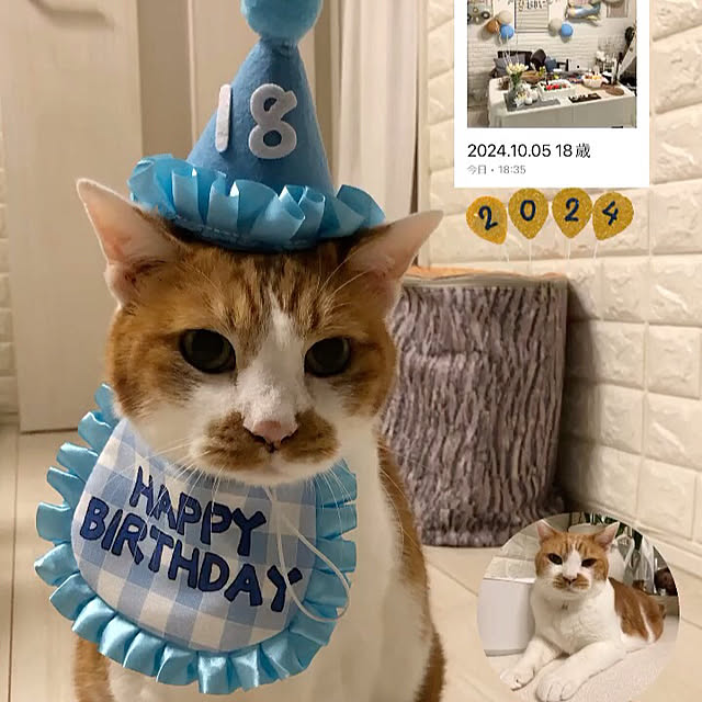 mikenekoさんの実例写真