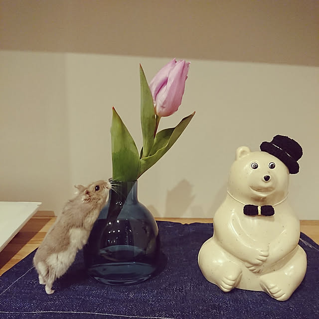 chinaminiさんの実例写真