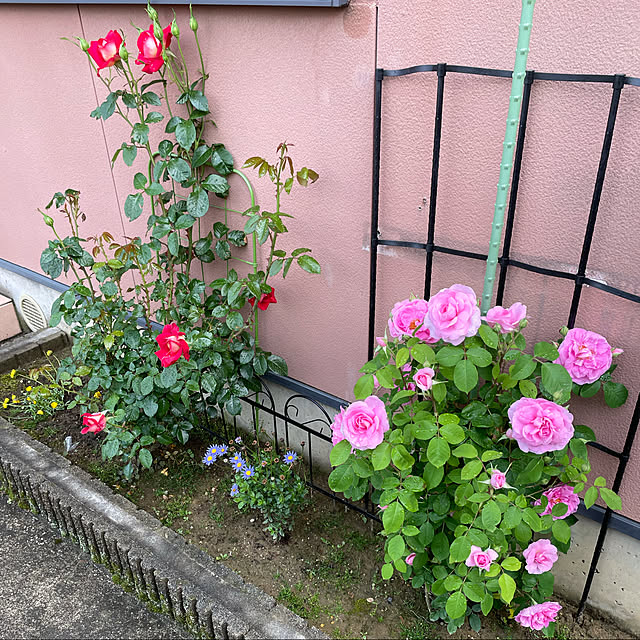 kakoさんの実例写真