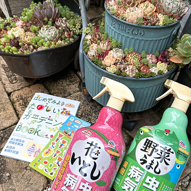 shhさんの部屋