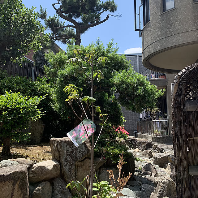 alohalightさんの実例写真