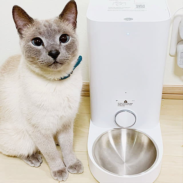 PETKIT 自動給餌器 猫 中小型犬用 給餌器 自動給餌機 ステンレス PETKIT 自動給餌器 猫 中小型犬用 給餌器 自動給餌機 ステンレス