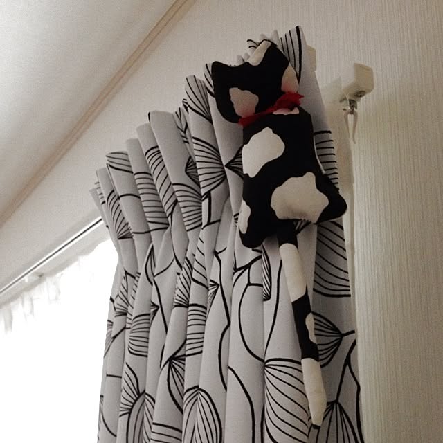 dicekbeetleさんの実例写真