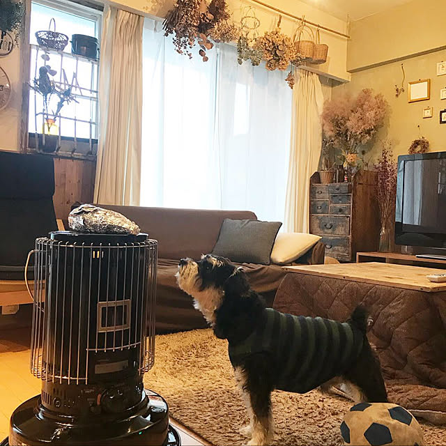 yomichanさんの実例写真
