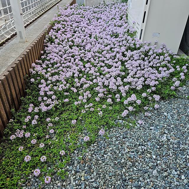 nahooomiさんの実例写真