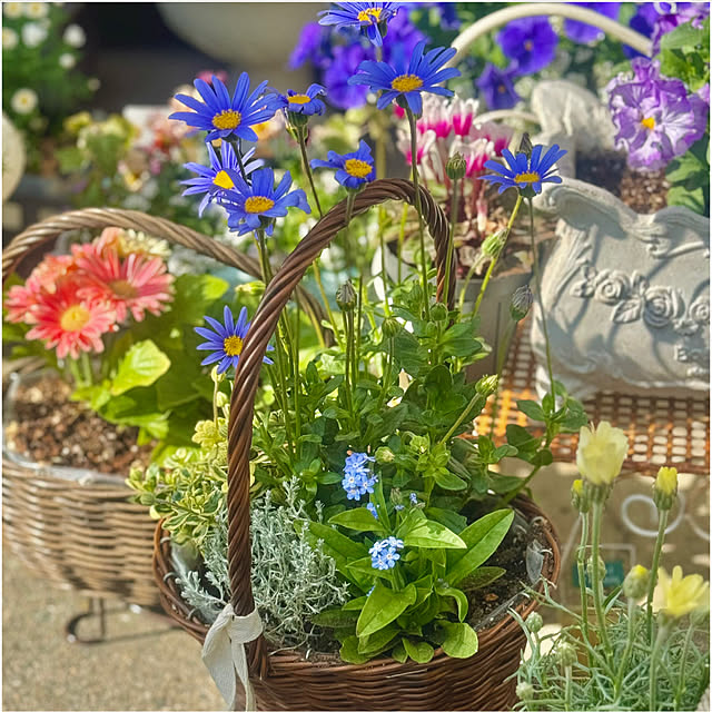 cocoさんの実例写真