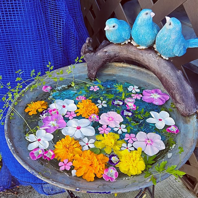 mocomocoさんの実例写真