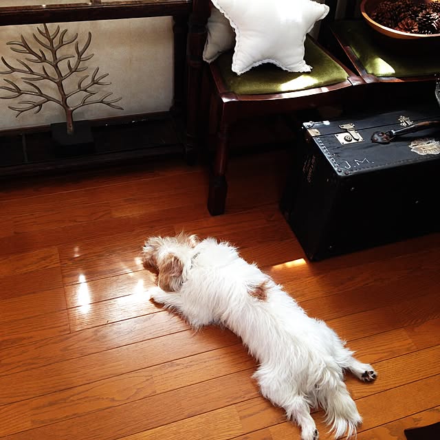 KAZさんの実例写真