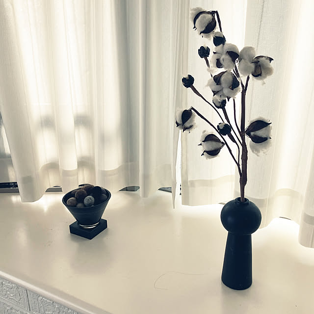 risarisaさんの実例写真