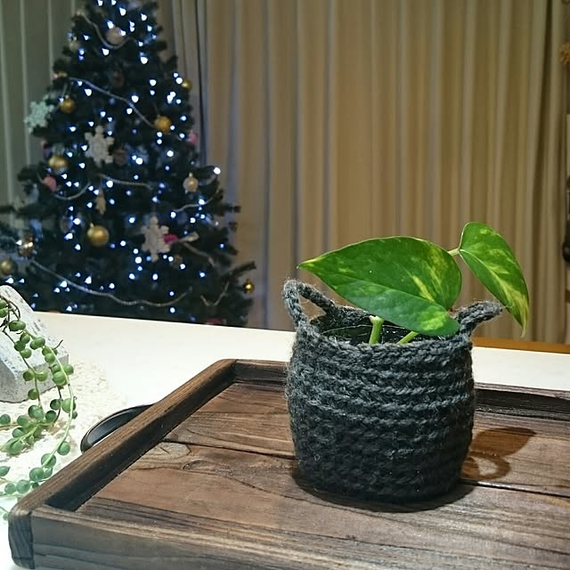 yaikoさんの実例写真