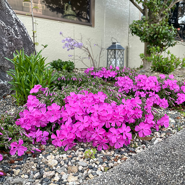 shin0719さんの実例写真