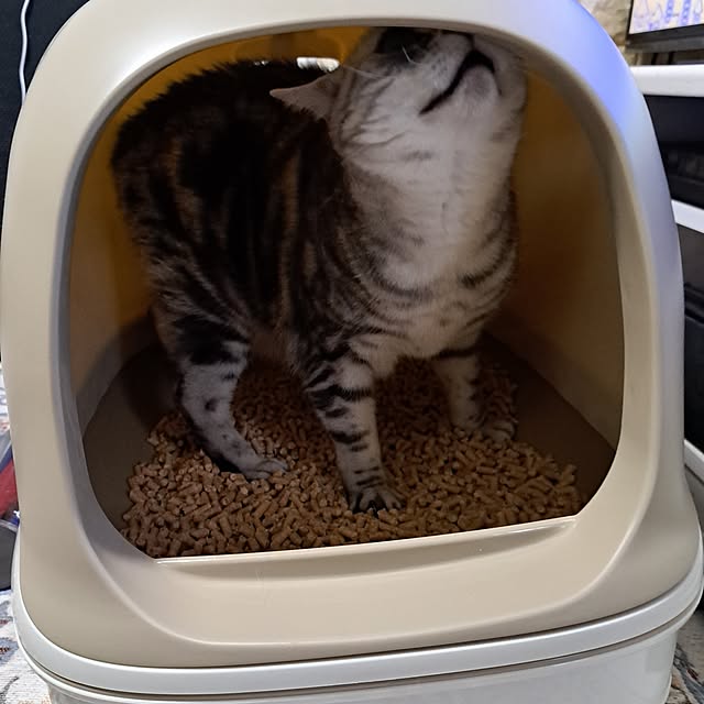kumingさんの部屋