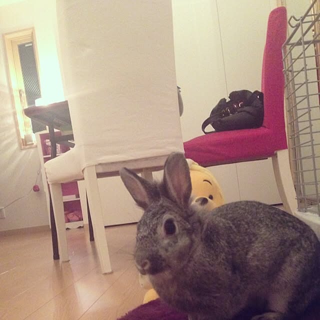 meiさんの実例写真