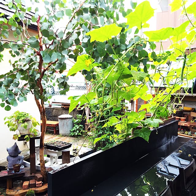 risoriso_houseさんの実例写真