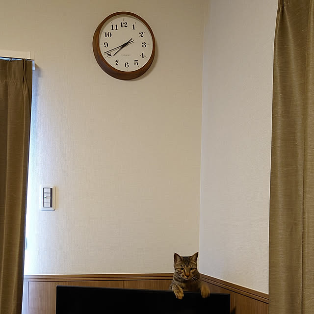 tomoさんの実例写真