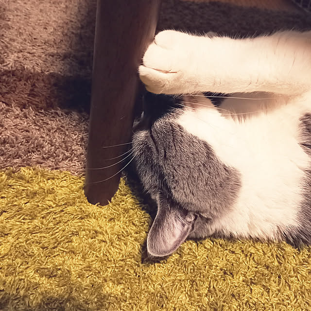 rhuさんの実例写真
