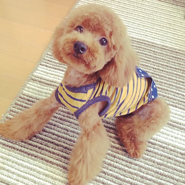 marieさんの実例写真