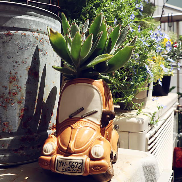 castellan1123さんの部屋