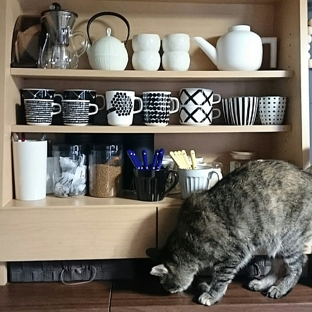 mademoisellenoaさんの実例写真