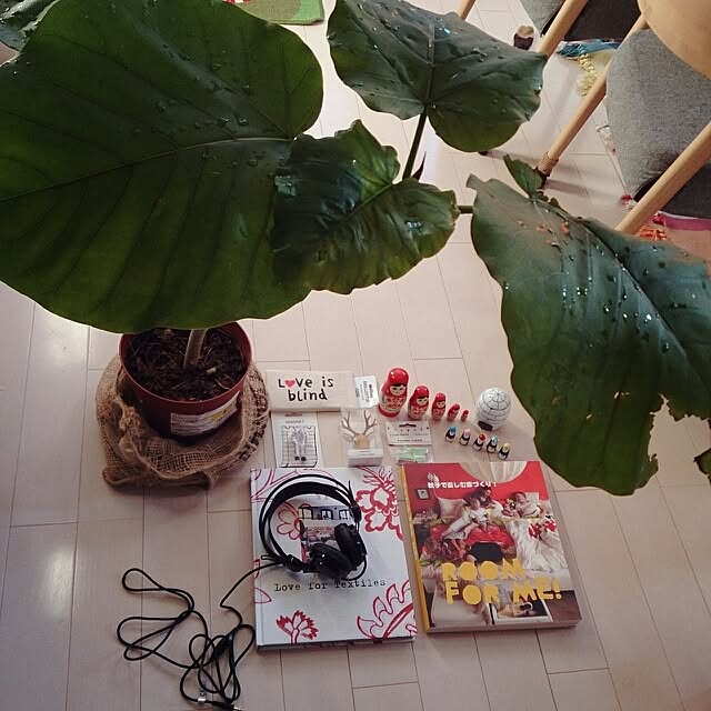urchinさんの実例写真
