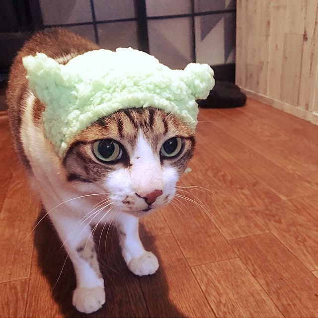 RANIさんの実例写真