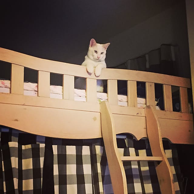 Rettiさんの実例写真