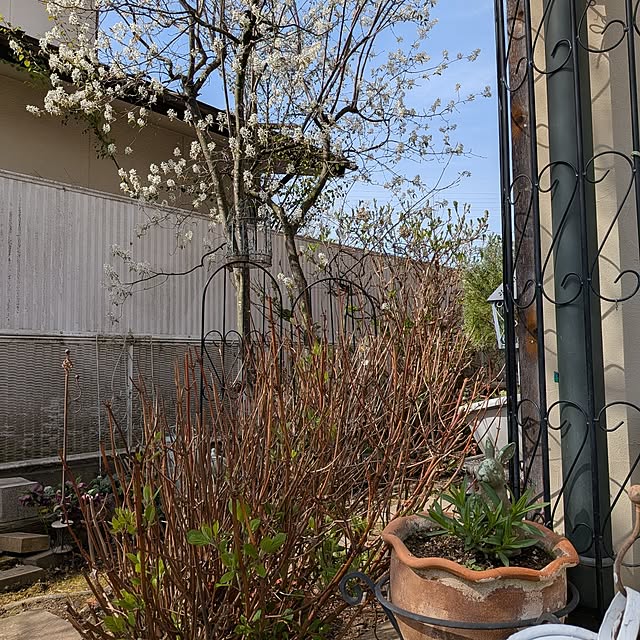 acocoさんの実例写真