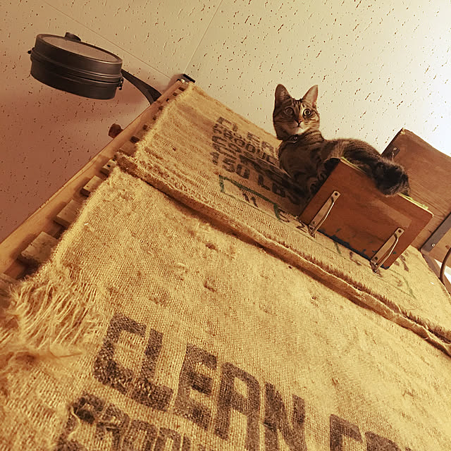 Mさんの実例写真