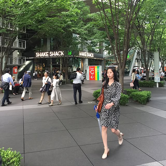 実例写真