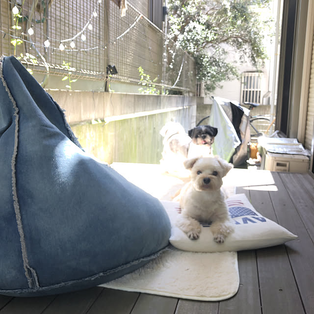 tenmaruさんの実例写真