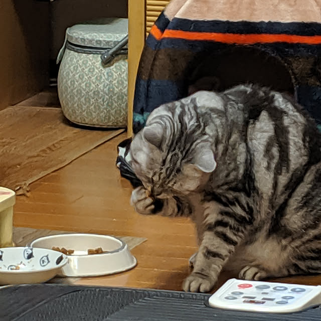実例写真