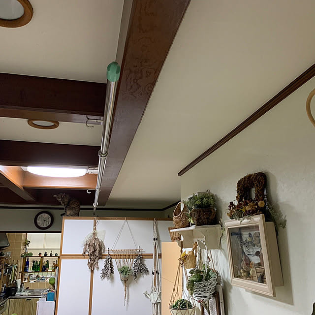 mohhaさんの実例写真
