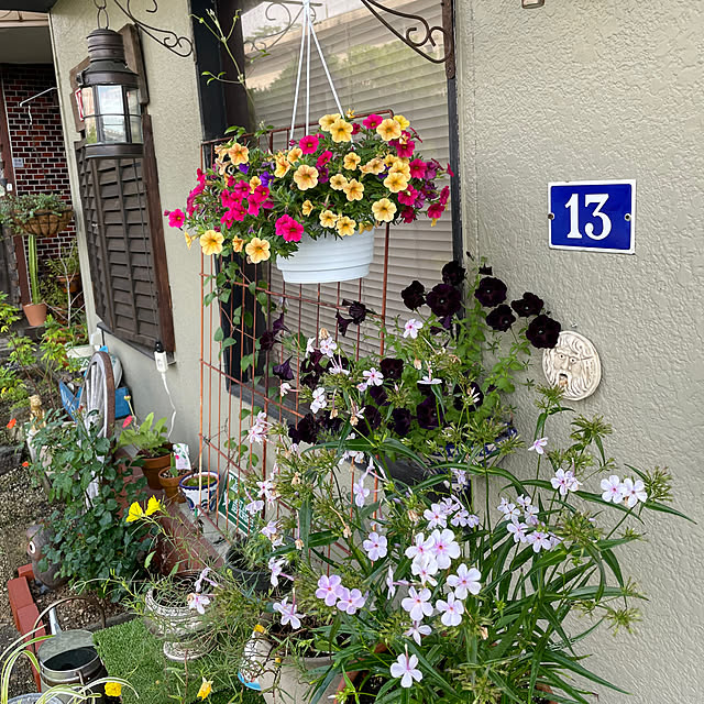 shin0719さんの部屋