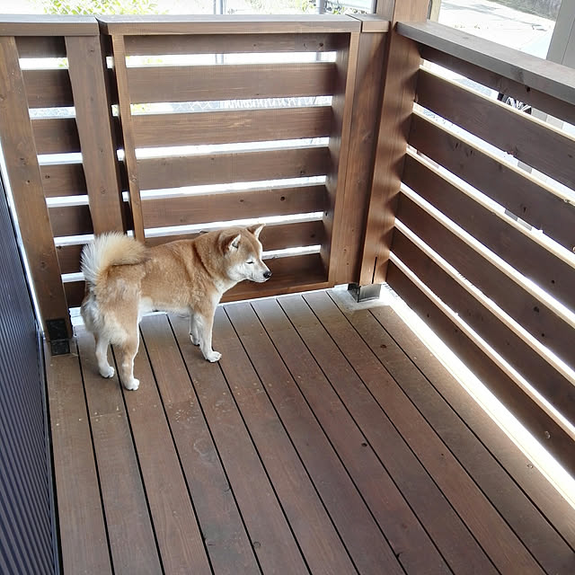 ponhanaさんの実例写真