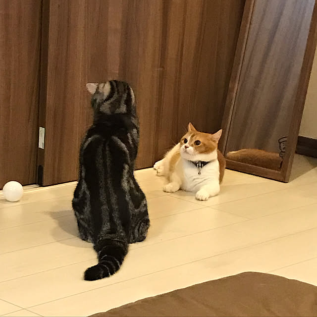 KotarouKunさんの実例写真