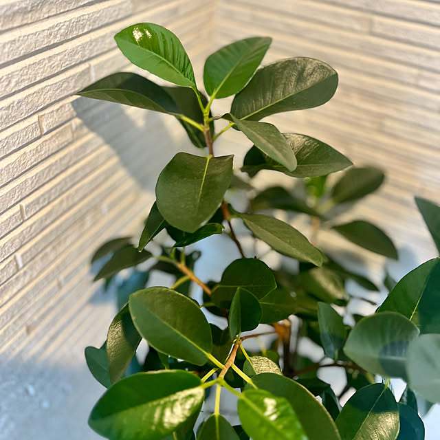 mocoさんの部屋