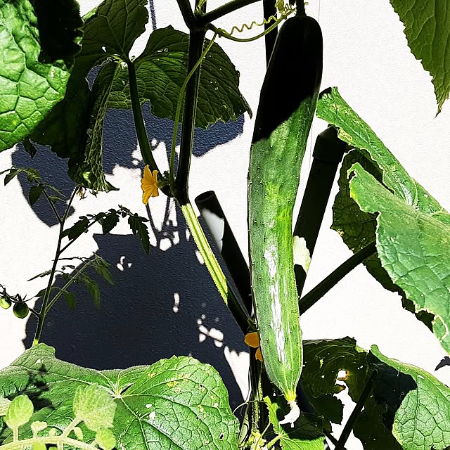 katさんの部屋