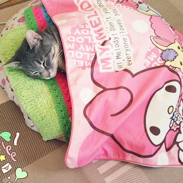 oyumiさんの実例写真