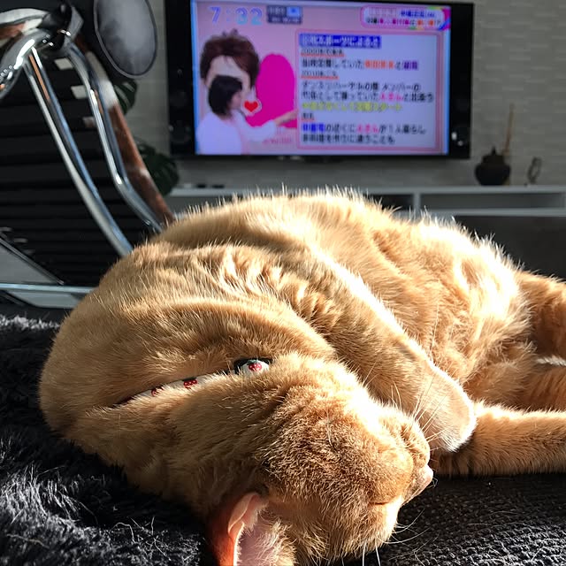 minakoさんの実例写真