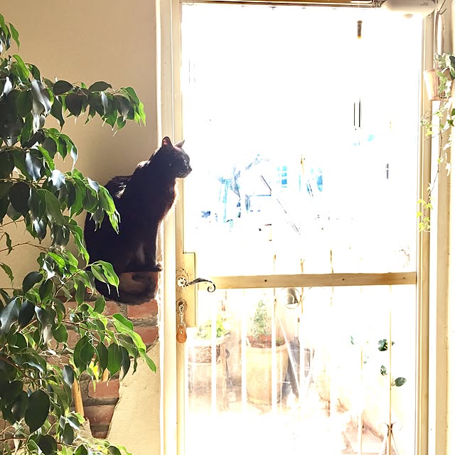 rosemaryさんの実例写真