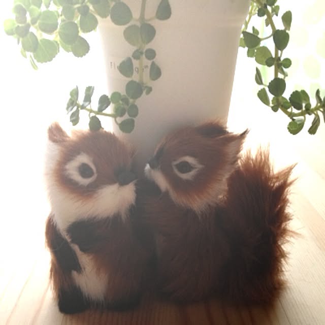mamasさんの実例写真