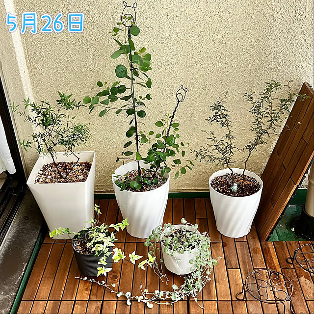kagomamaさんの部屋