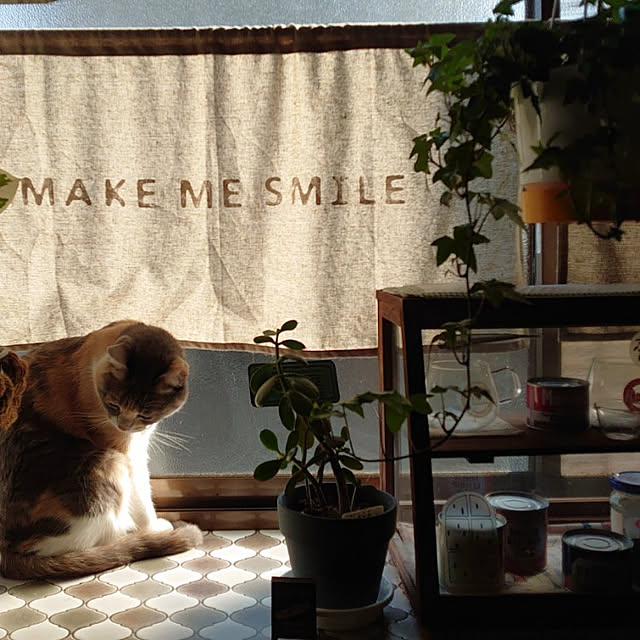 fukuさんの実例写真