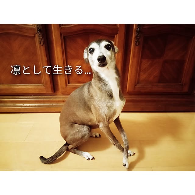 moruさんの部屋