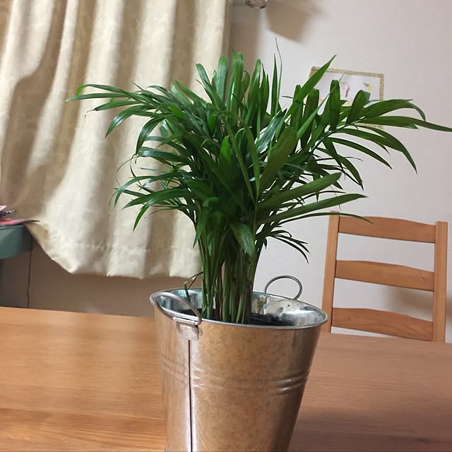 mari.mamaさんの実例写真