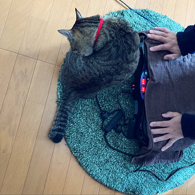 mikan161さんの実例写真