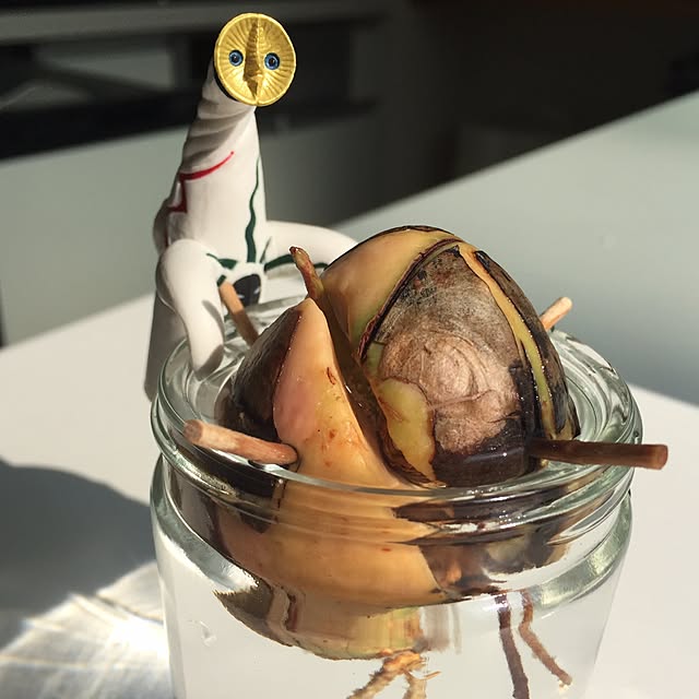 gajumaruさんの実例写真