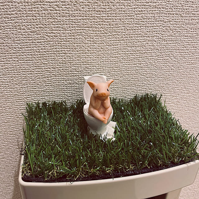 gt7さんの実例写真